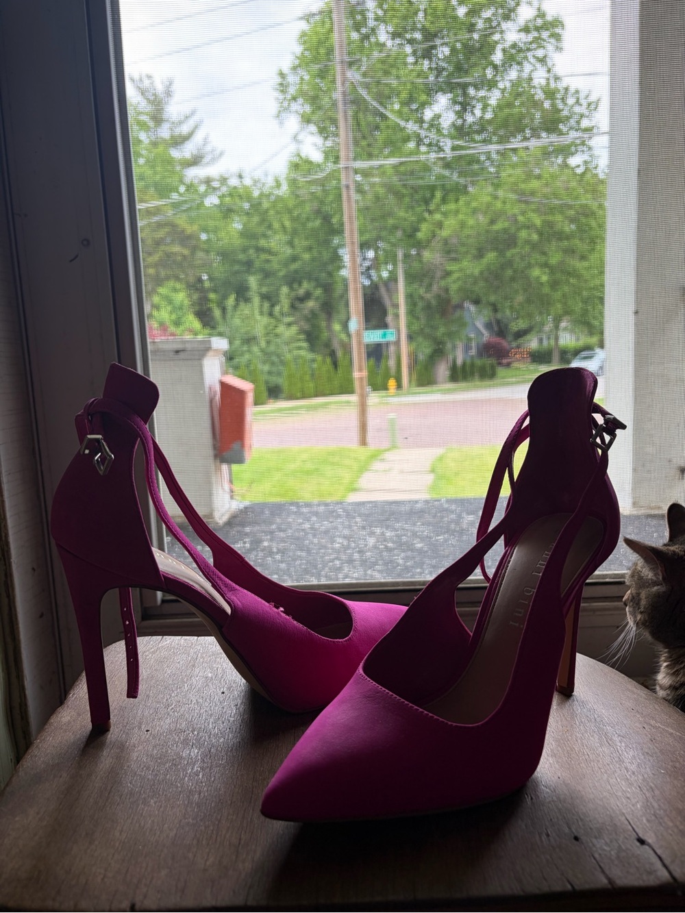 Gianni Bini Hot Pink Pointed-Toe Ankle-Strap Heels